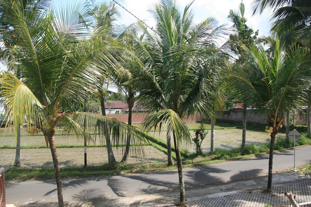 Gusti Rai House Hotel Ubud  Exterior photo
